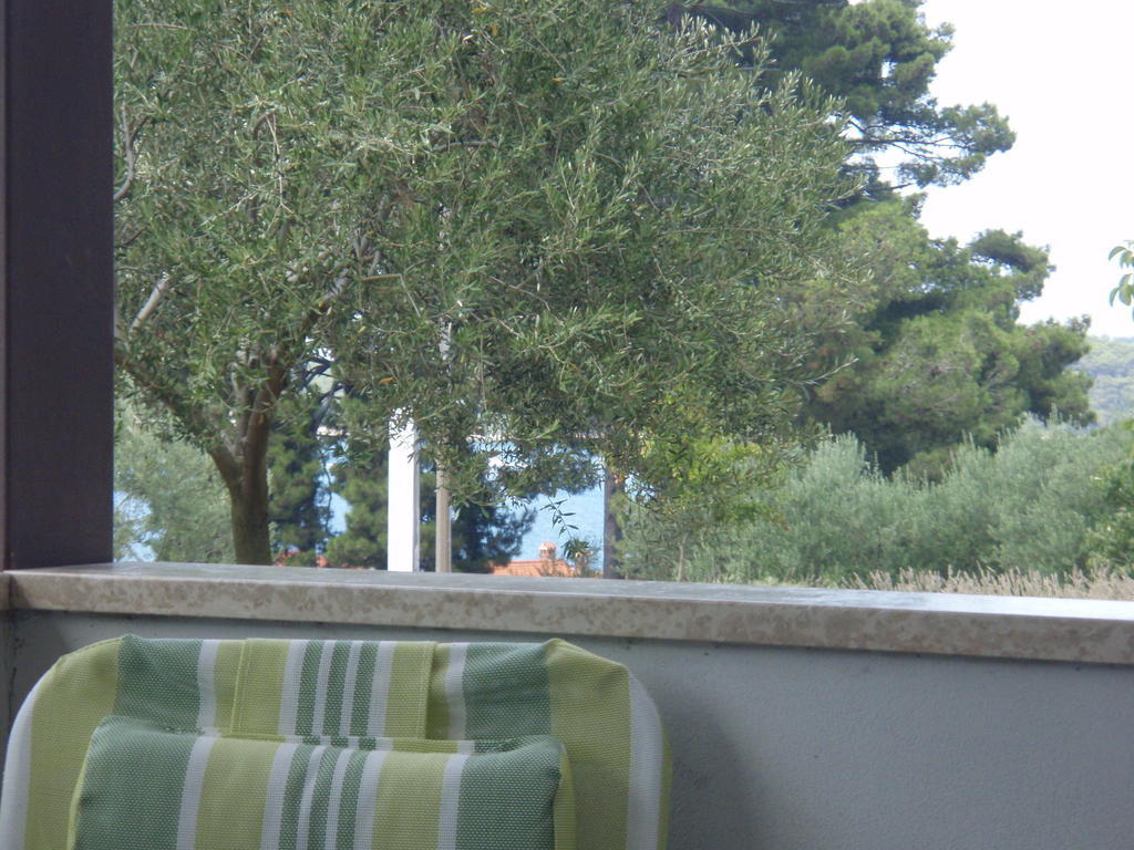 Guest House Zohil Rovinj Room photo